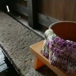 ツイートに含まれる画像