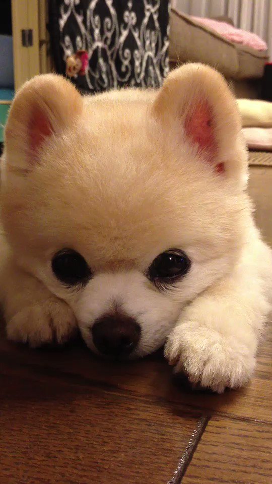 Shun Mama Keep0109 Twitter