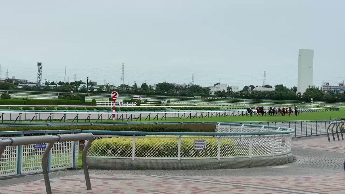 明日の京都牝馬Sは、末脚に惚れたテンハッピーローズちゃん1点のみで勝負する。あの日は福永J騎乗での勝利。
京都牝馬Sは、福永Jの阪神最後のレースなので、ハッピーに終わって欲しい！ 