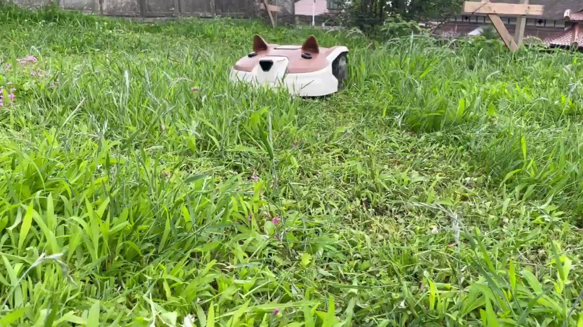 草刈りロボットが可愛すぎるｗｗｗ頑張って刈っている部分も含めてなんかいい