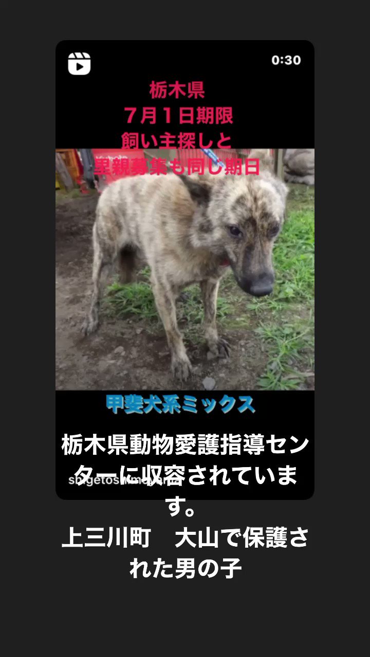 ふぐり Hananokofuguri Twitter