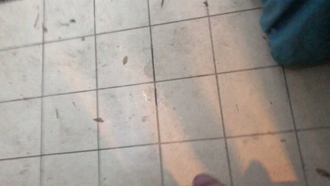 My first adventure into the world of outdoor (backyard) masturbation (1 of 4) 2 R w/CUM so join the fun