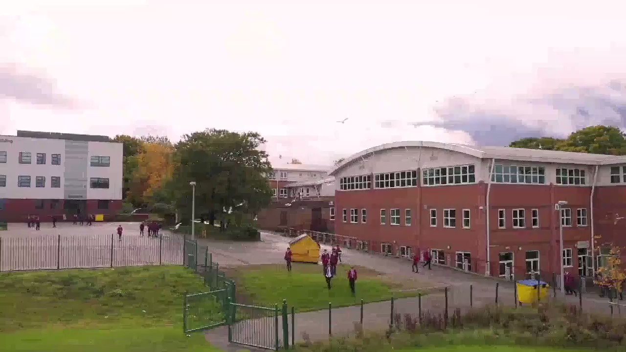 SFX1842 s video Tweet