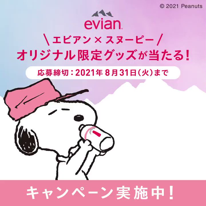 【ぬーぴこ様】専用 2025年10月4日(土)発売予定!!スヌーピータウンショップ