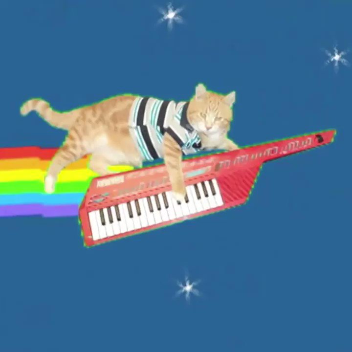 Keyboard Cat on Twitter "Just 1 hour to go on the “Nyanboard Cat