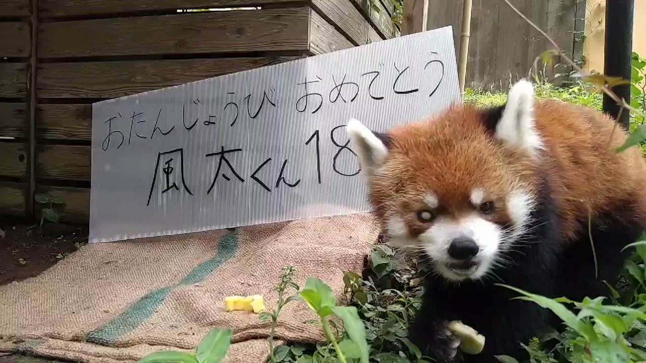 千葉市動物公園【公式】 on X: 