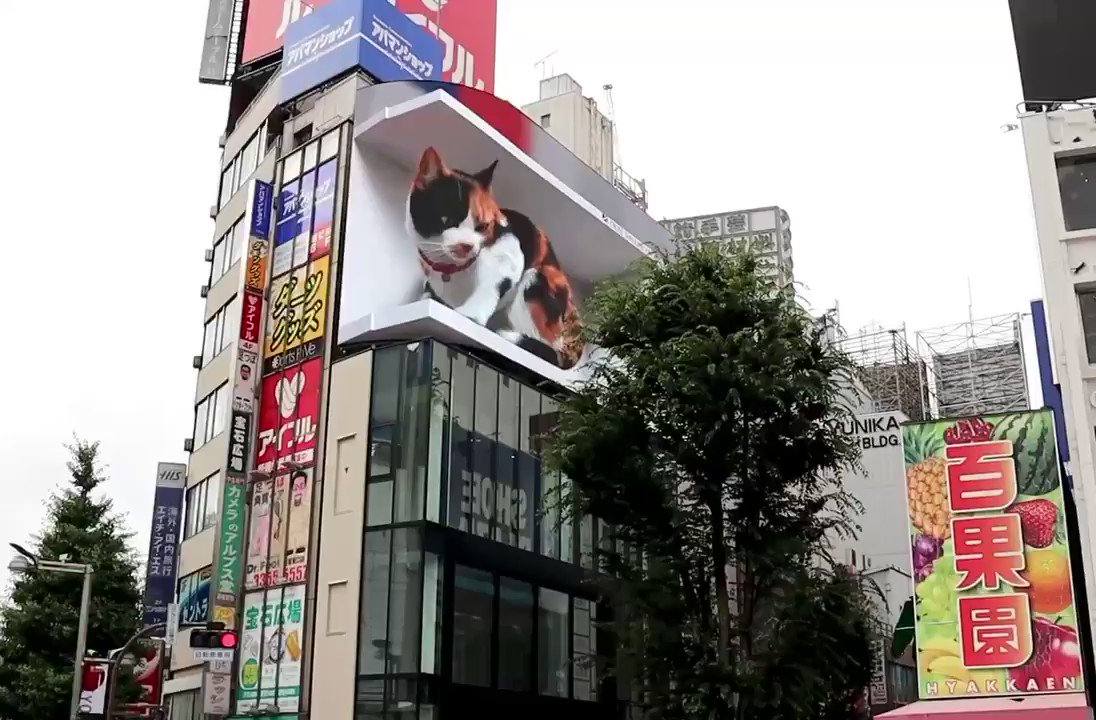 Гигантский кот в Токио