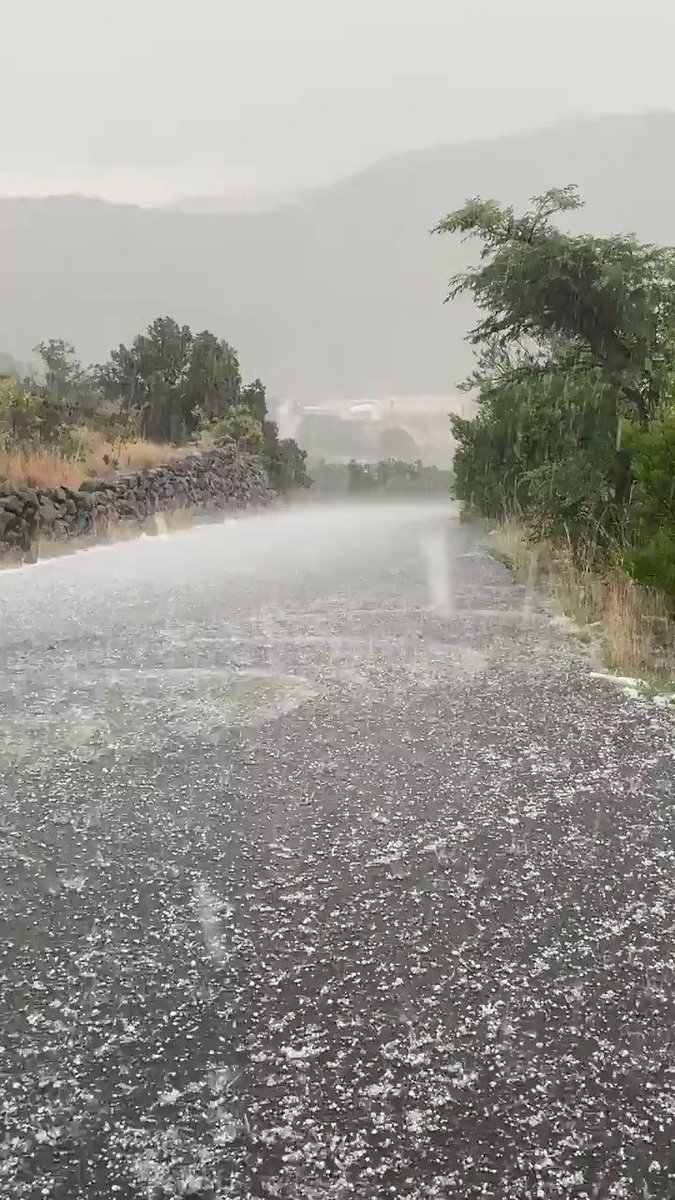 شاهد هطول أمطار وتساقط حبات البرد بـ السودة نيولي