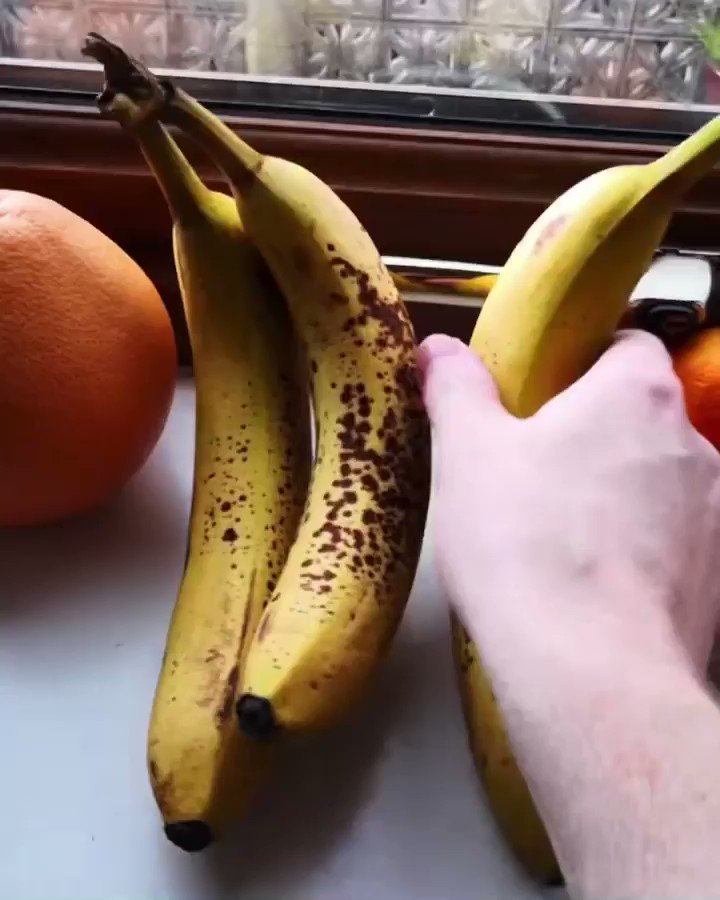 Gripping Food With Force on Twitter "https//t.co/Cau9ybap7l" / Twitter