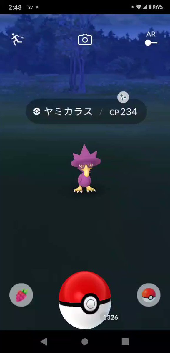 ポケモンgo ヤミカラスの色違い 入手方法と実装状況 攻略大百科