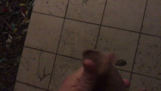 Cloud00a Wanking play at night (Backyard) fun w/CUM Outdoor (3 of 4) trimed on videoshoppro ios https://t