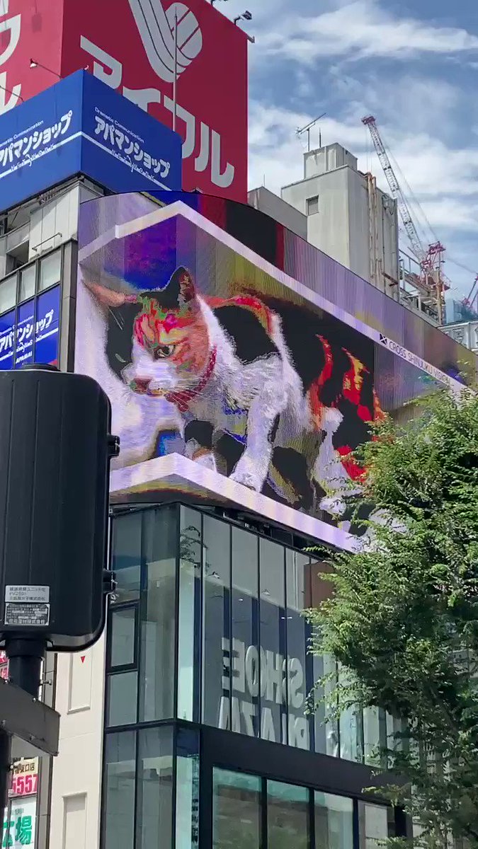 本城よしみ Yoshimihonjyo Twitter 本城よしみ Yoshimihonjyo Twitter