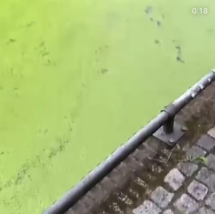 Melding brandweer Kerkgracht Almere Haven