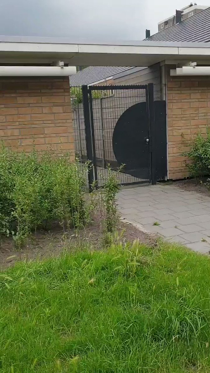 Melding politie Leonard Springerlaan Haarlem