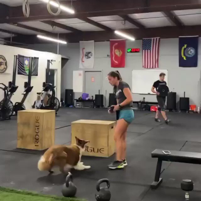 @CrossFit's photo on Wheeler