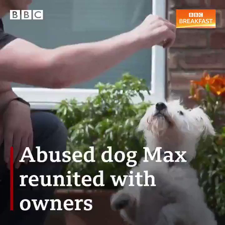 RSPCA York, Harrogate & District Branch on Twitter "Thank you to