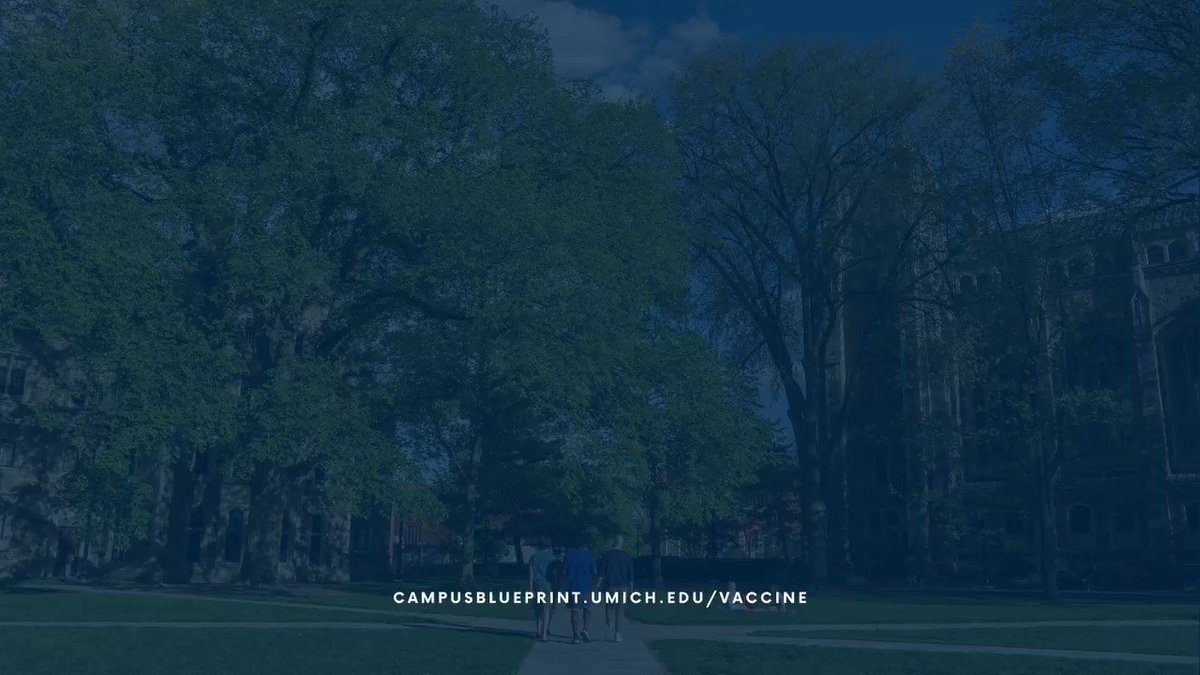 UMichDiversity photo