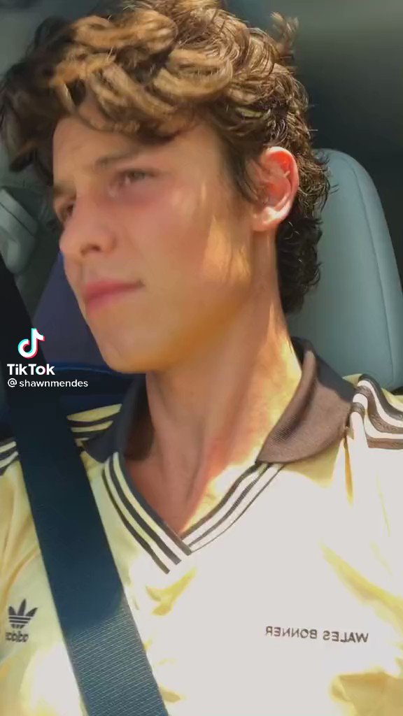 Shawn Mendes Updates (ShawnM_Updates) / Twitter