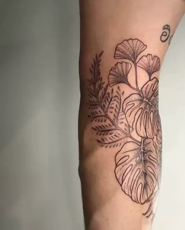 17+ Monstera Plant Tattoo