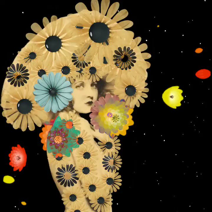 New Fun Tiny on Twitter ""A life without dreams is like a garden