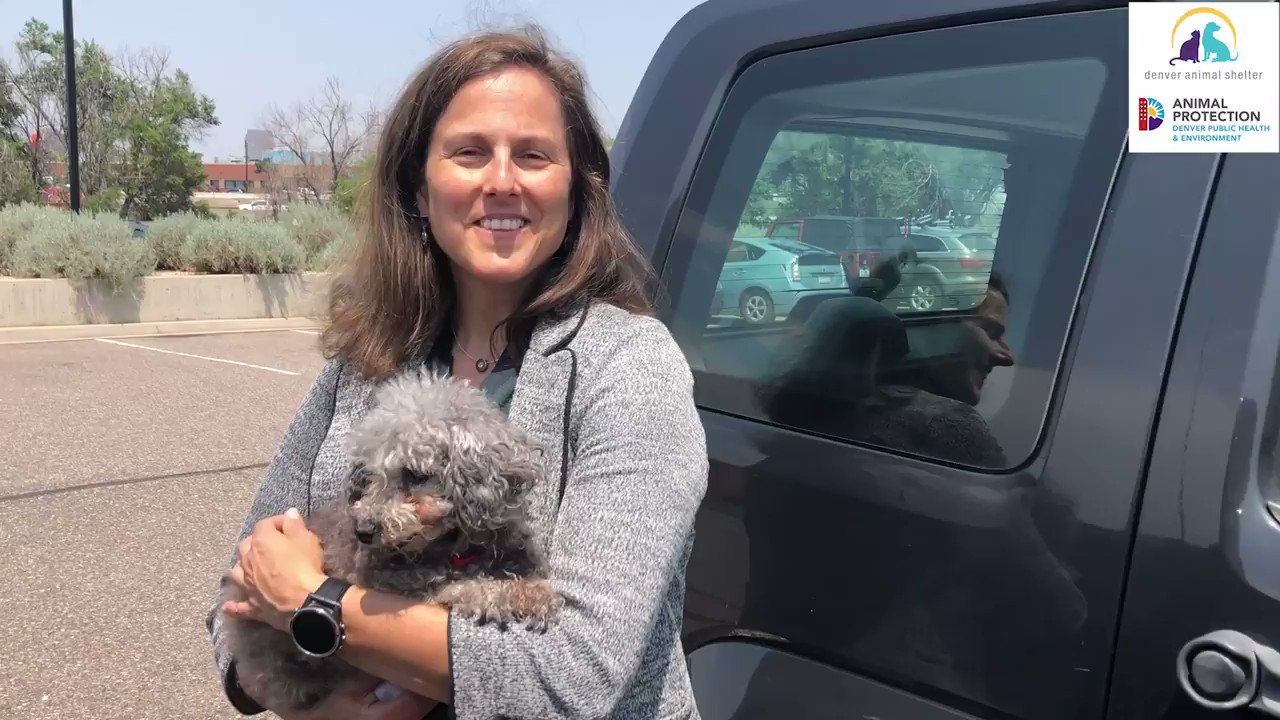 Denver Animal Shelter on Twitter: Denver Animal Shelter on Twitter: