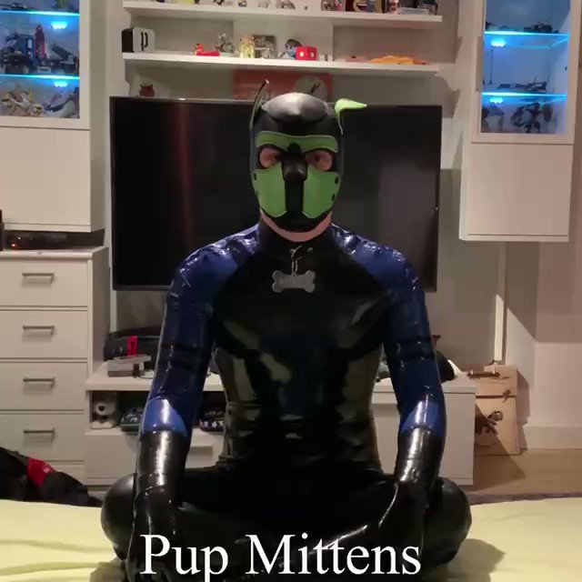 @etadogcamo @pup_fetch ? Adorable https://t.co/zogBWmc9pq