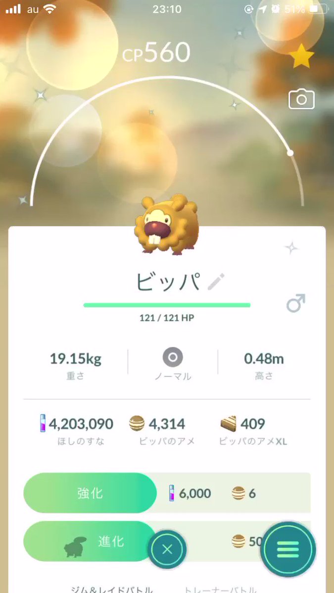 ポケモンgo ビーダルの色違い 入手方法と実装状況 攻略大百科 ポケモンgo ビーダルの色違い 入手方法と実装状況 攻略大百科