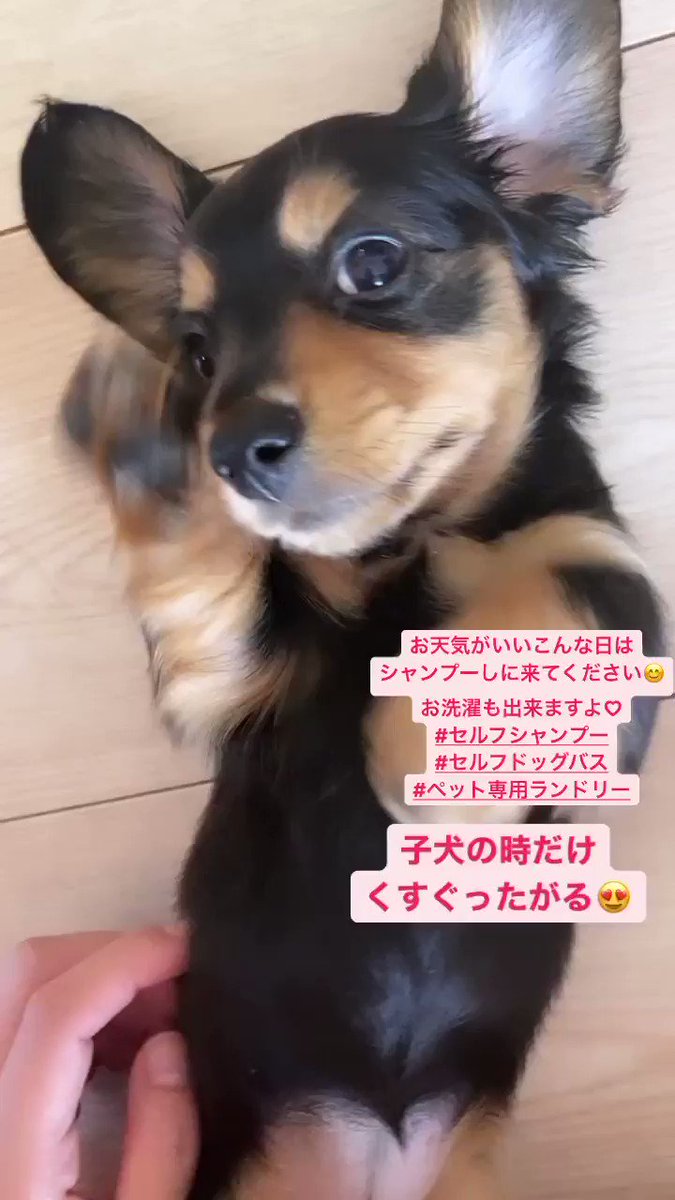 Laundry Studio Wanshop Laundrystudiow Twitter