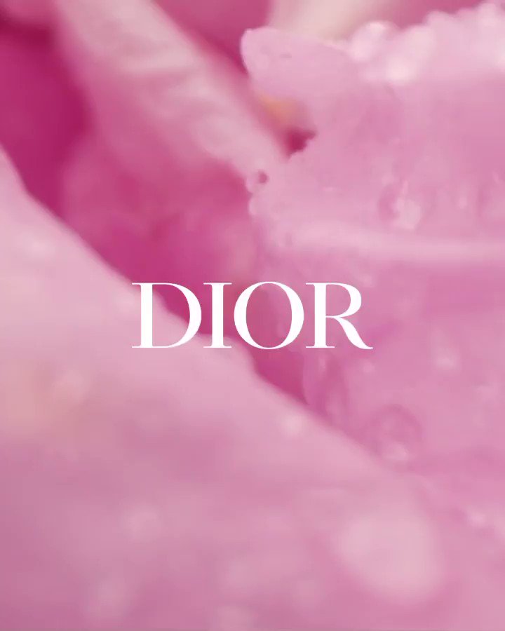 12 DIOR ideas dior iphone 12 HD phone wallpaper  Pxfuel