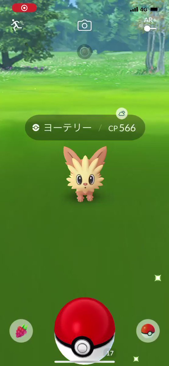 ポケモンgo ヨーテリーの入手方法 能力 技まとめ 攻略大百科 ポケモンgo ヨーテリーの入手方法 能力 技まとめ 攻略大百科