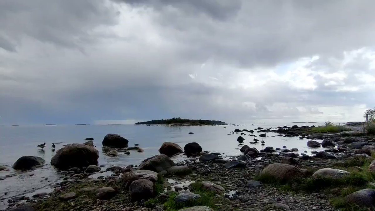 RT @arttusilvast: Watching a storm closing in this afternoon at #Lauttasaari #Helsinki (sound on) https://t.co/AesXHzeksf