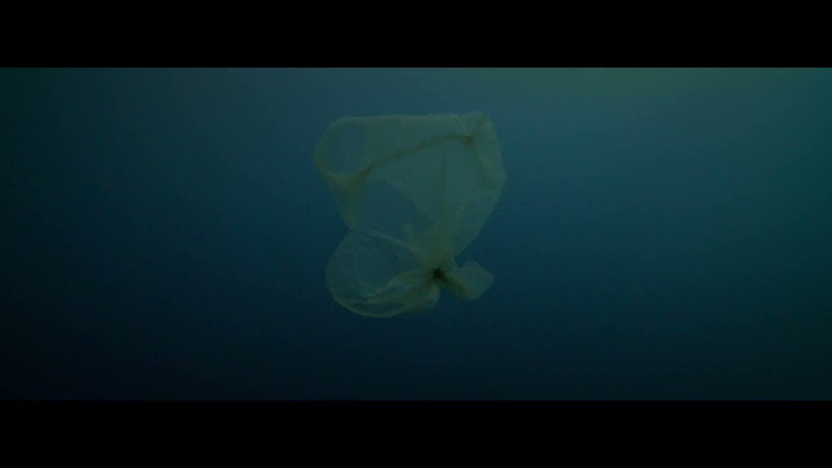 The world’s oceans feed billions of people, mitigate climate change and produce half of the oxygen we breathe.
Every second breath comes from the ocean. #EverySecondBreath #GreenRecovery https://t.co/izcFLPTUkW