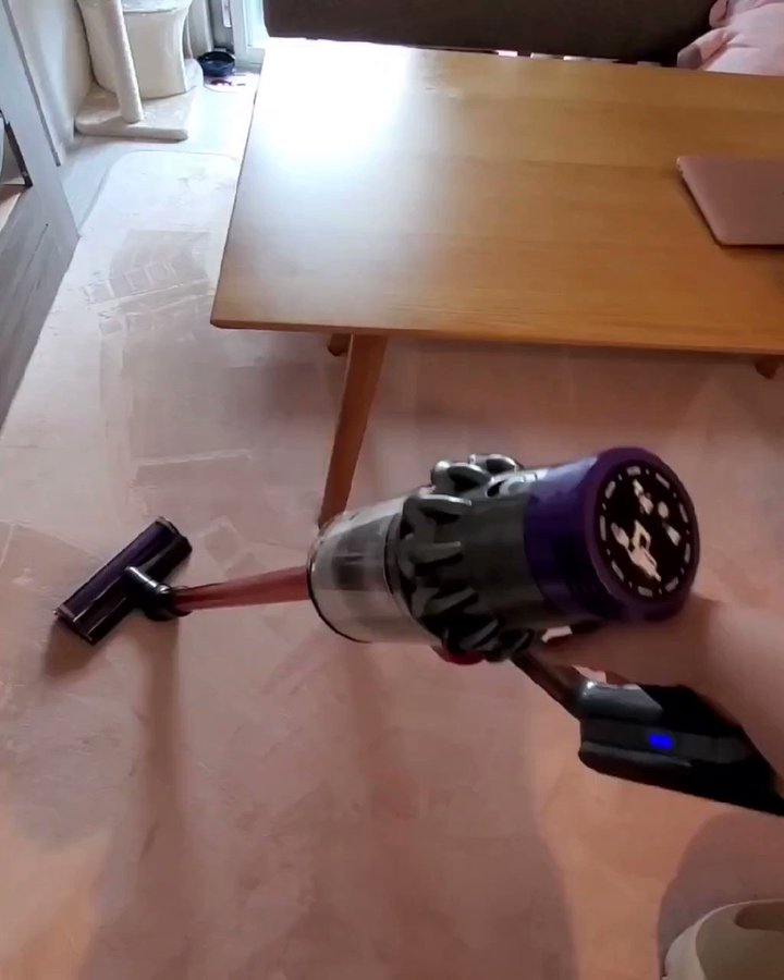 【動画】生まれて初めて掃除機を見た子猫のリアクションがこちら【ダイソン】のサムネイル画像