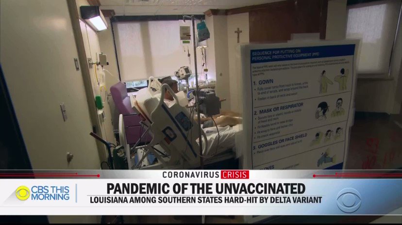 Stephanie Pappas (@sipappas) / Twitter