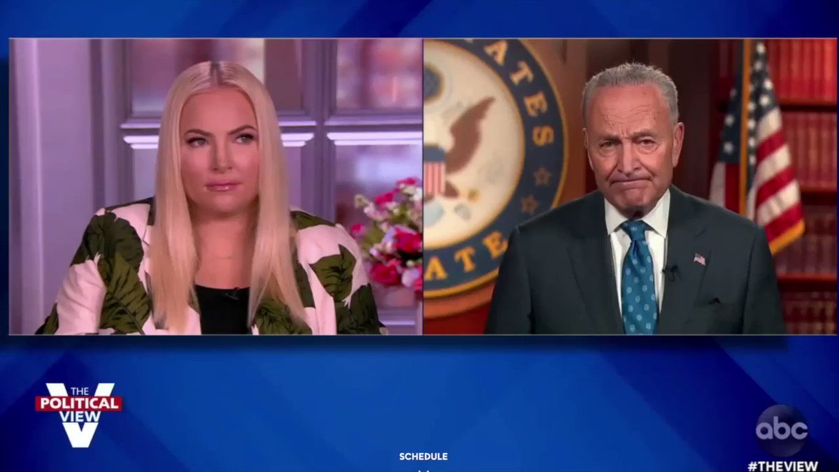 Yep. Peek McSpoitlBrat Jewish by osmosis (via friendship with Bari Weiss) and, the ‘only’ spokesperson for the state of Israel here. She has ‘something to teach’ Senator Schumer…https://t.co/yFYGYcN4qD