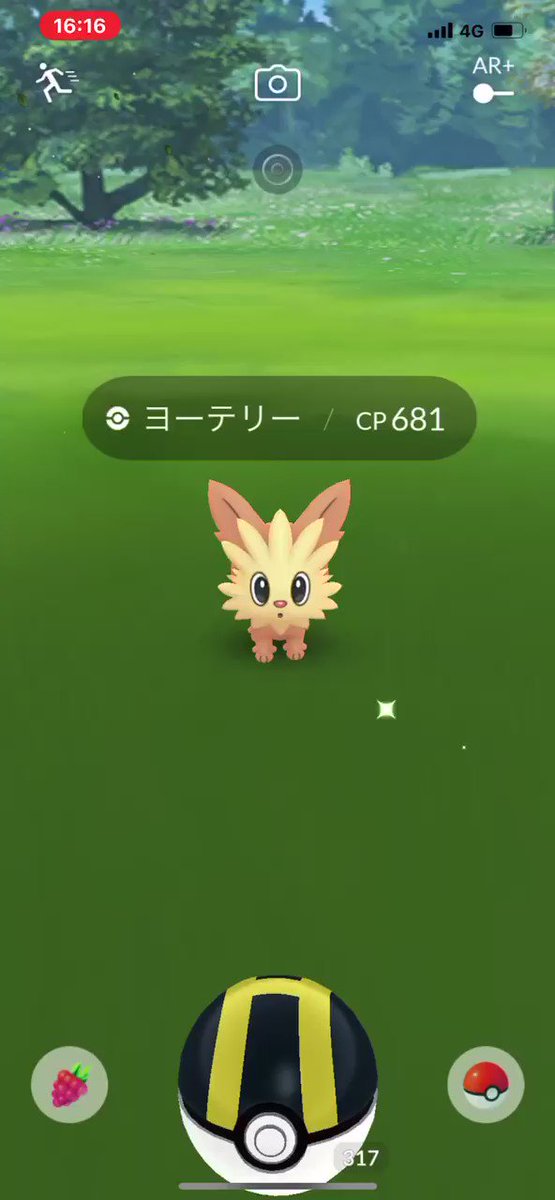 ポケモンgo ヨーテリーの入手方法 能力 技まとめ 攻略大百科