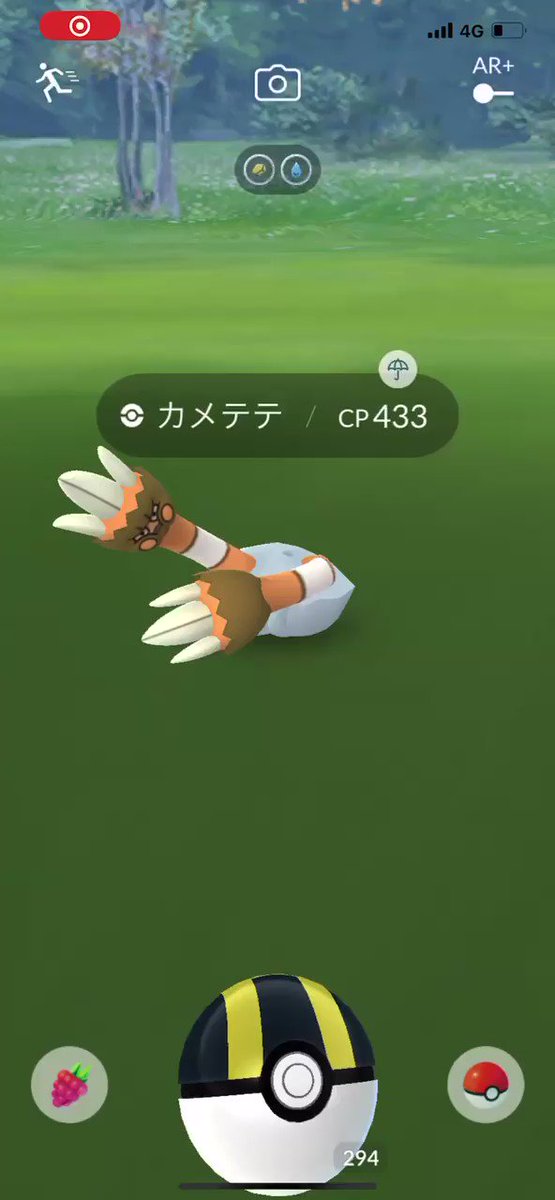 ポケモンgo カメテテの入手方法 能力 技まとめ 攻略大百科 ポケモンgo カメテテの入手方法 能力 技まとめ 攻略大百科