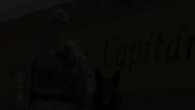 Meet Hulk 🐶, the 🇪🇸 Army @EjercitoTierra bomb-sniffing dog!
This 9⃣-year old German Shepherd has protected @NATO armed forces by serving as an explosive-detection dog indifferent missions like 🇦🇫 or 🇮🇶.
#WeAreNATO 🇪🇦
#MadridOTAN22 🇪🇦
🎥@EMADmde https://t.co/wyjAhC1SIw