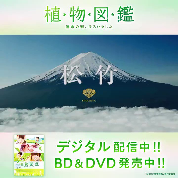 ラブストーリー 岩田剛典 最新情報まとめ みんなの評価 レビューが見れる ナウティスモーション ラブストーリー 岩田剛典 最新情報まとめ みんなの評価 レビューが見れる ナウティスモーション