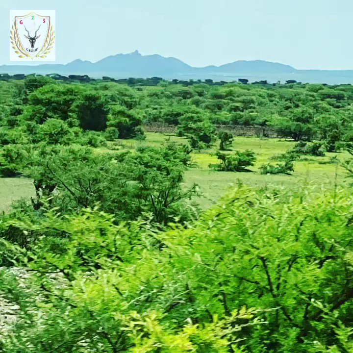 Let our accomplished specialists assess, build, and maintain your security!
G2S Group Your reliable partner for Security services
#G2Sgroup #Security #RiskManagement #Somaliland #Somalia #HornOfAfrica https://t.co/KVouPawYId