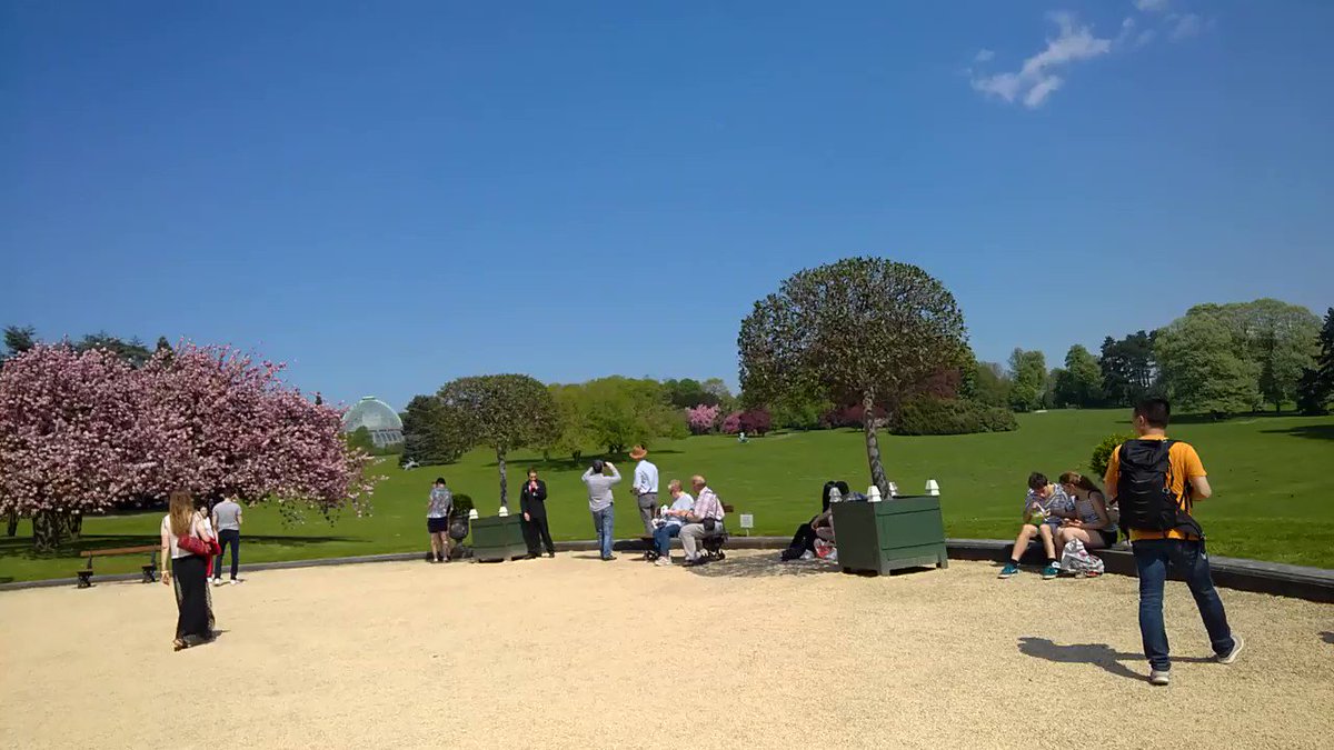 Royal Gardens, Brussels (part 8)
#palace #garden #royalgarden #botanic #orangery #greens #botanical #park #brussels #belgium #brusselstrip #place #coolpalce #placetovisit #pointofview #travel #travelplace #travelblogger #trip #travelview #coolview #emotions #mood #impressions https://t.co/hp1pEe43HP