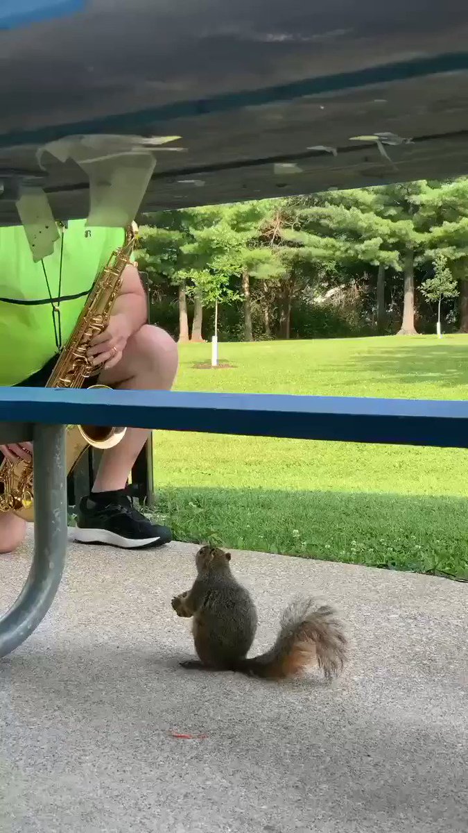 【タイ】サックスの音色に聴き入る音楽大好きなリスのサムネイル画像