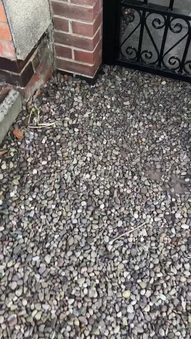 Who can guess what happened next?  https://t.co/1PlnI2UPCz https://t.co/R3ymXUGRDw<a href="/tag/newprofilepic"class="tags"><span>#newprofilepic</span></a>