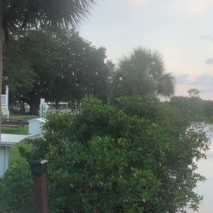 Jessica Myers on Twitter "This was my Sunday night sunset on Alligator