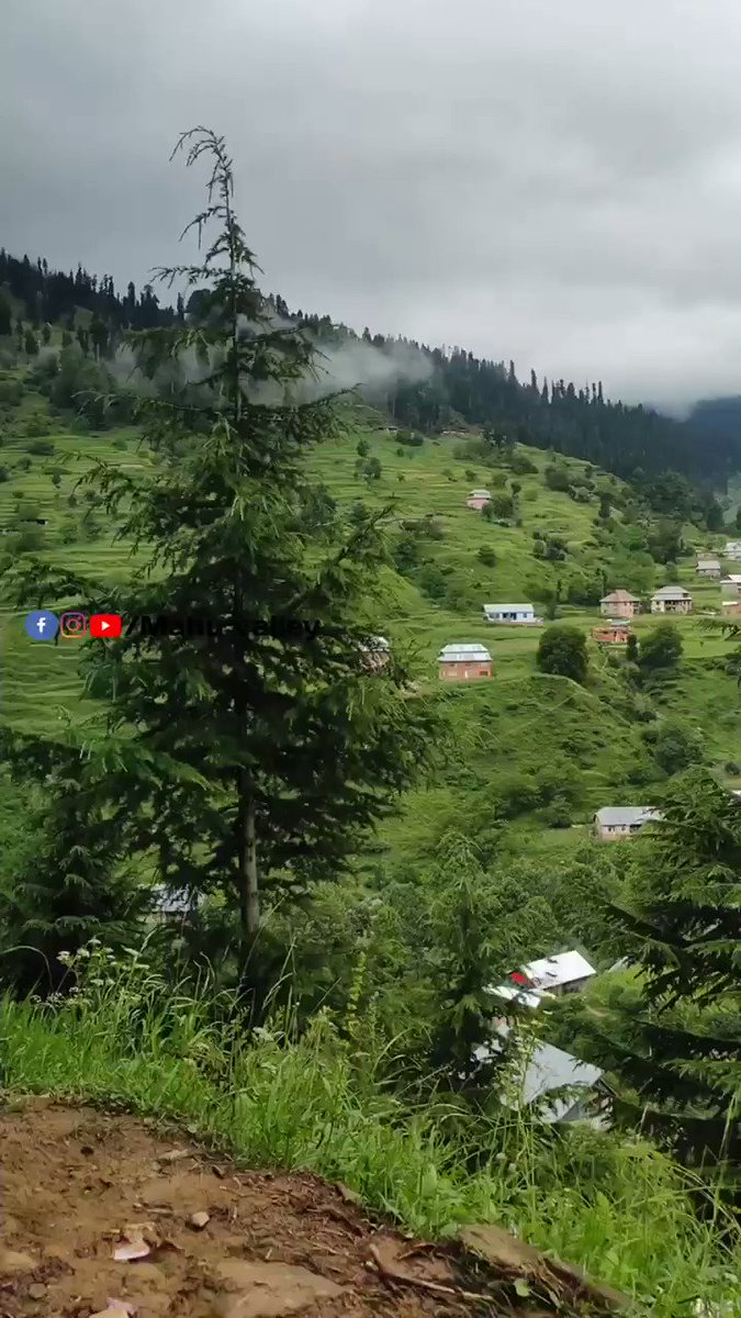 Thank you @Mahu_valley for sharing with us this vibrant view from Mahu Valley in Jammu & Kashmir!