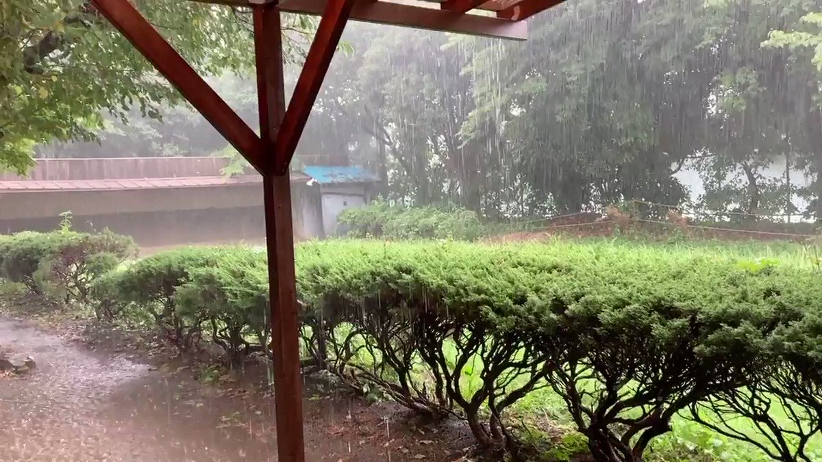 雷が近くに落ちた！一体何が起きたの？！