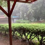 雷が近くに落ちた!一体何が起きたの？!