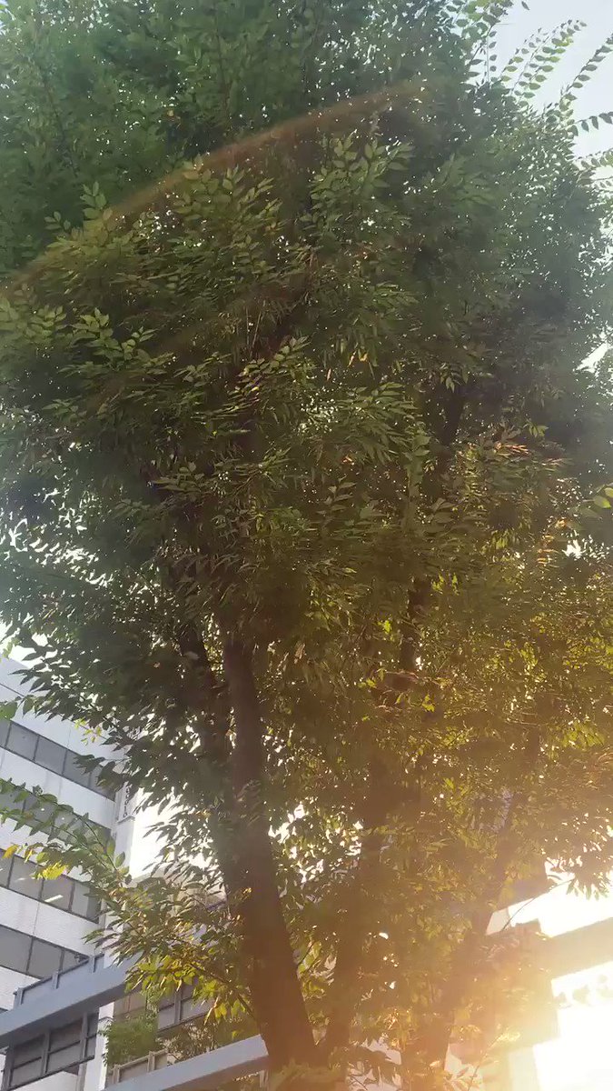 Vztv304nvmjljm Vztv304nvmjljm