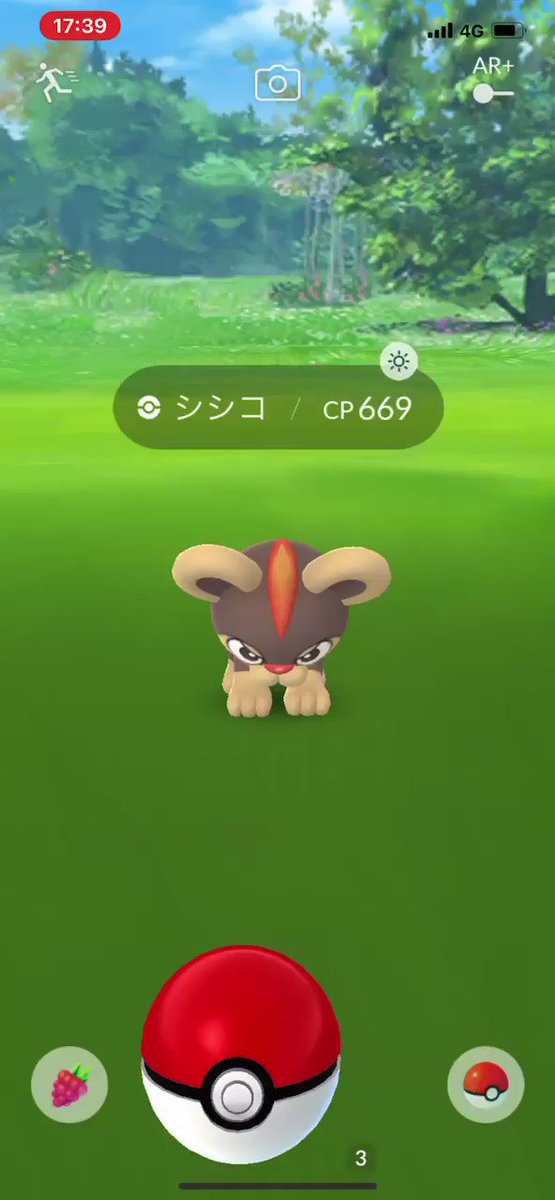 ポケモンgo シシコの入手方法 能力 技まとめ 攻略大百科 ポケモンgo シシコの入手方法 能力 技まとめ 攻略大百科