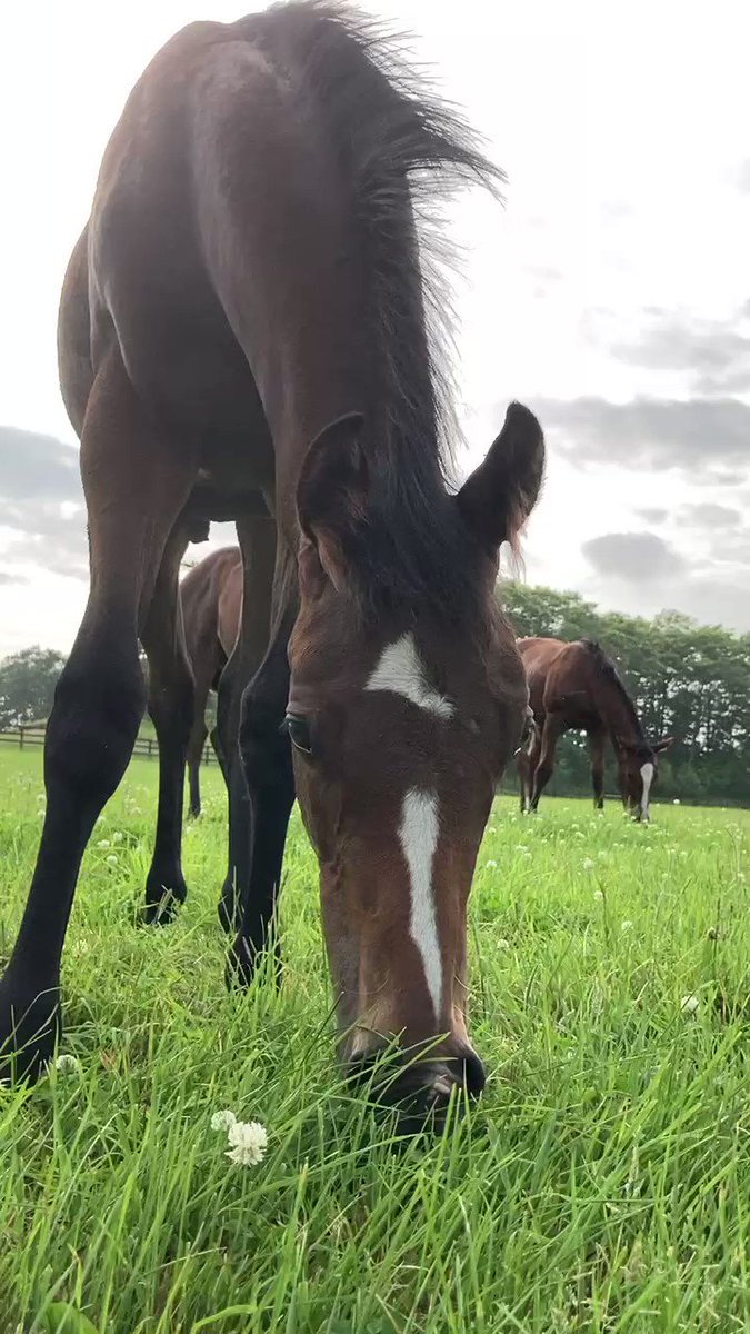 わー！！ブリッジオーヴァーっ仔☺️❣️かわいい～😻😻 
